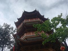 -塔云山