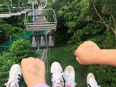 -圣淘沙天际线斜坡滑车