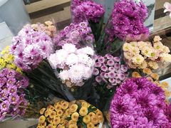 -鹿岛会员店 (龙湖三千集天街店)