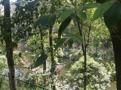 -南山植物园
