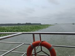 -微山湖红荷湿地景区