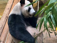 -深圳野生动物园