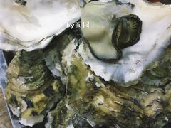 海蛎子-牛叔鲜羊肉铜火锅(远东小区店)