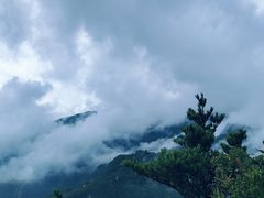 -牛背梁国家森林公园