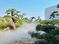 -罗红摄影艺术馆