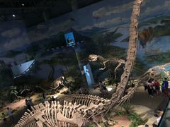 -自贡恐龙博物馆