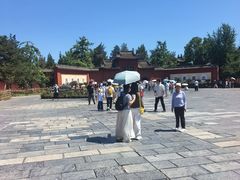 -洛阳白马寺