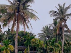 -蔡家宅