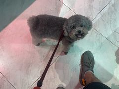 -浮生探案馆·剧本·狼人杀·电竞