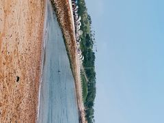 -小麦岛公园