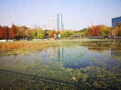 -月湖风景区