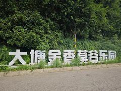 -大塘金香草谷