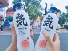 -武汉欢乐谷