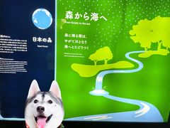 -大阪海游馆