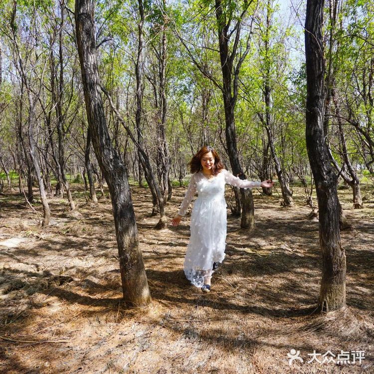 大理小众旅游攻略：海东镇
