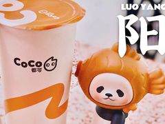 -CoCo都可(宝龙店)
