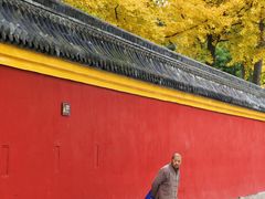 -宝光寺