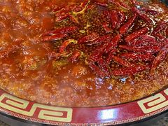 肥肠鱼-烧哥美蛙肥肠鱼火锅·十五年社区店