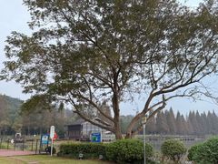 -东钱湖旅游度假区