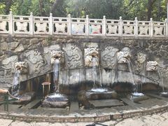 -蝴蝶泉公园