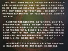 -徐州龟山景区