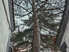 -圣莲山风景区