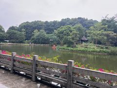 -广州市帽峰山景区