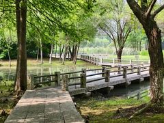 -长广溪湿地公园