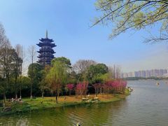 -洋湖国家湿地公园