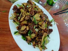 -大班家政月嫂育儿嫂(深圳NO.1店)