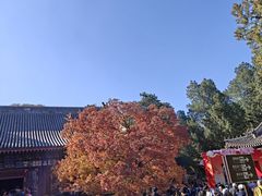 -香山公园-东宫门售票处