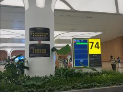 -广州白云国际机场-T2航站楼