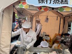 -嘉定紫藤园
