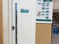 -瑞派康怡24h宠物医院·犬猫医疗中心·微创绝育(瑞景分院)
