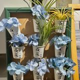 重庆i人来这里…