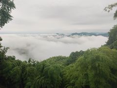 -莫干山风景区