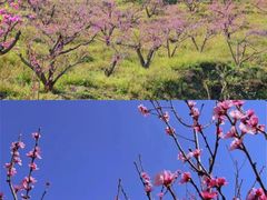 -崆峒山景区