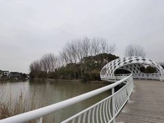 -同里国家湿地公园