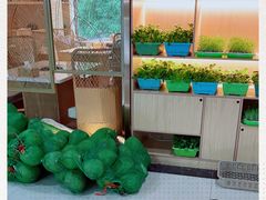 -东椰·海南椰子鸡火锅(朝阳门店)