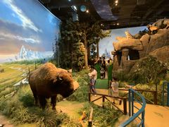 -陕西自然博物馆