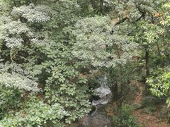 -佛山市三水区大南山森林公园