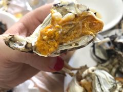 -乡乐园蟹庄·阳澄湖农家乐