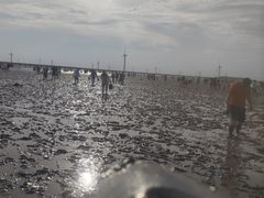 -启东黄金海滩景区