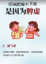 -Fundi张玉珊修身堂·indiba·BTL科技瘦身