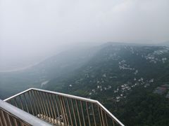 -大金鹰园