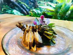 -森味薪火烧•烧鸟居酒屋•日本料理(望京店)
