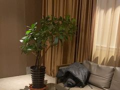 -都来福海鲜大酒店(大东店)