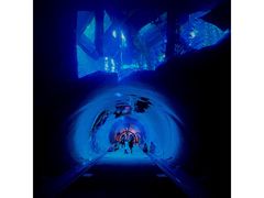 -迪拜水族馆及水下动物园