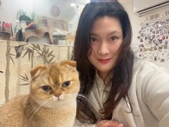 -楼上猫咖(罗湖店)