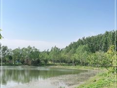 -东郊湿地公园